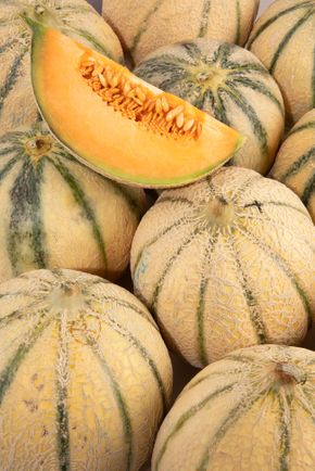Le Melon Sélection Philibon