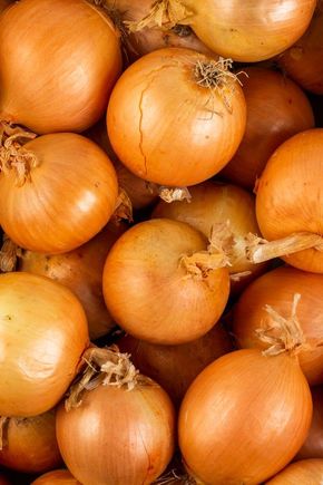 L'Oignon jaune BIO