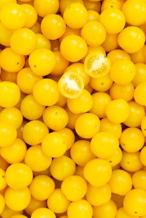 La Tomate cerise jaune