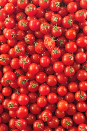 La Tomate cerise rouge HVE