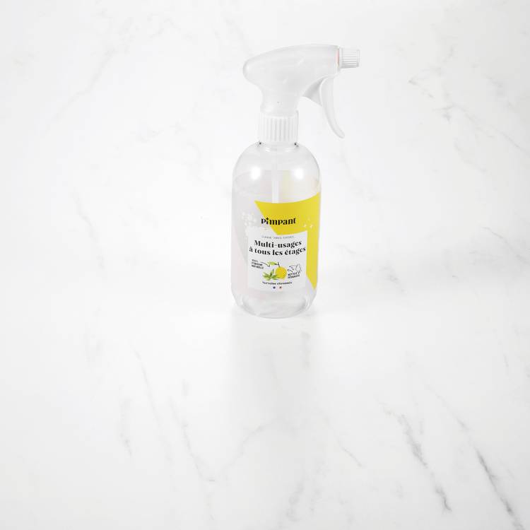 Le Spray vide multi usages rechargeable "Pimpant"