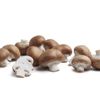 Le Champignon brun