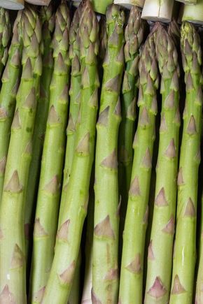L'Asperge verte