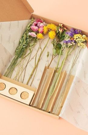 Les Fleurs séchées multicolore avec vases